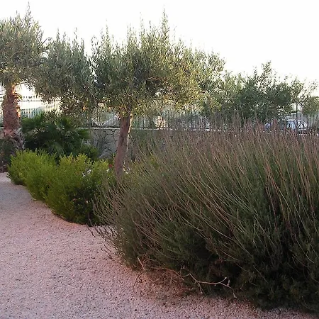 酒店 Il Mirto E La Rosa 3*