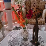 Hotel Il Mirto E La Rosa 3*
