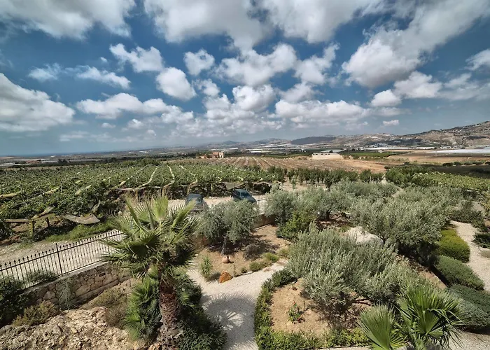 Otel Il Mirto E La Rosa 3*